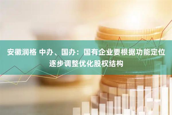 安徽润格 中办、国办：国有企业要根据功能定位逐步调整优化股权结构