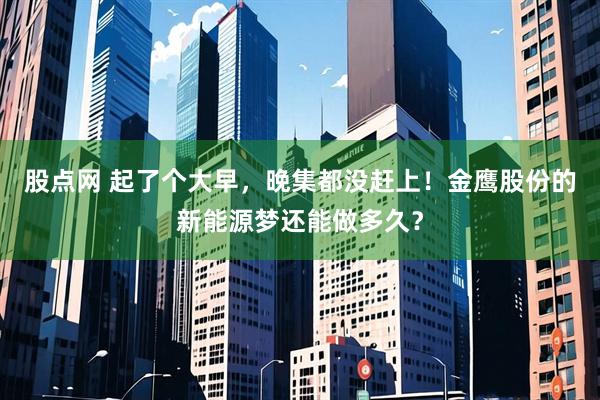 股点网 起了个大早，晚集都没赶上！金鹰股份的新能源梦还能做多久？