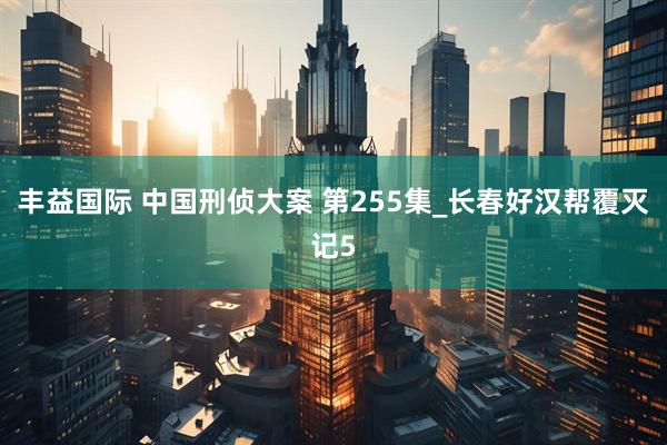 丰益国际 中国刑侦大案 第255集_长春好汉帮覆灭记5