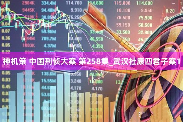 神机策 中国刑侦大案 第258集_武汉杜康四君子案1