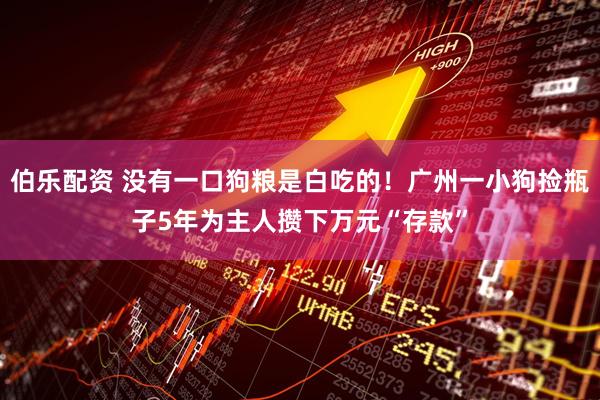 伯乐配资 没有一口狗粮是白吃的！广州一小狗捡瓶子5年为主人攒下万元“存款”