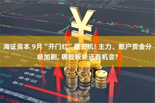 海证资本 9月“开门红”藏玄机! 主力、散户资金分歧加剧, 哪些板块还有机会?