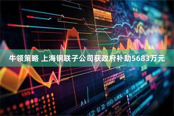 牛领策略 上海钢联子公司获政府补助5683万元