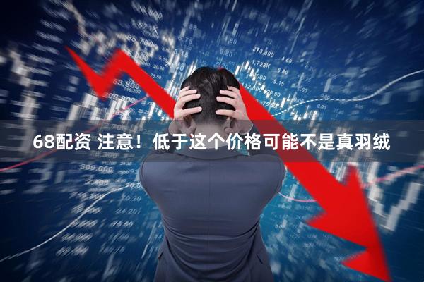 68配资 注意！低于这个价格可能不是真羽绒