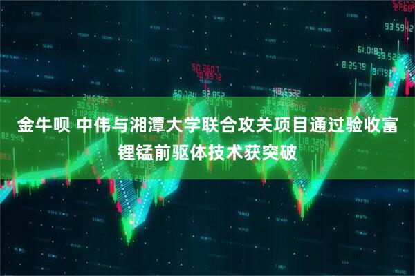 金牛呗 中伟与湘潭大学联合攻关项目通过验收富锂锰前驱体技术获突破